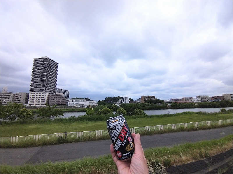 ストロング無糖ドライ(350ml)