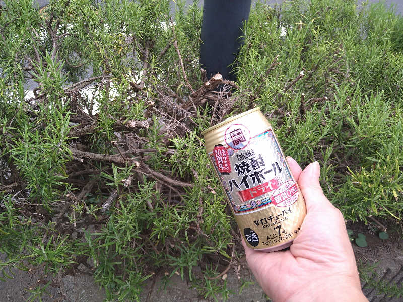 TaKaRa焼酎ハイボール(ドライ350ml)