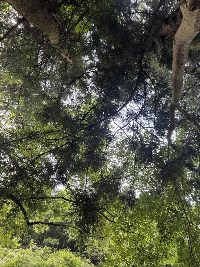 こーだいさんのkanrano saunaのサ活写真