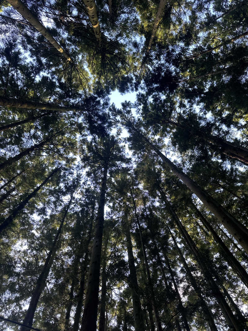 こーだいさんのJUURI SAUNA(ユーリサウナ)のサ活写真