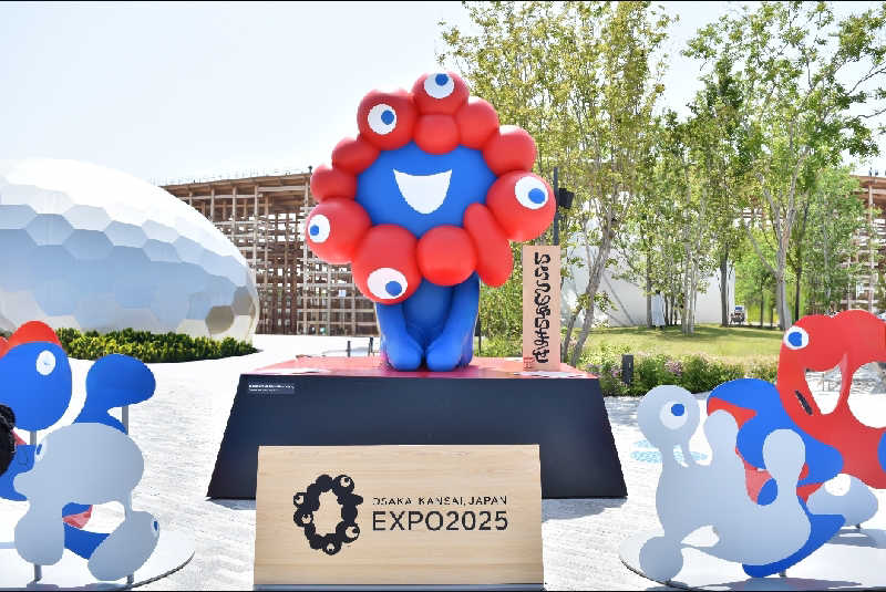 ピーナッツさんのコロナの湯 豊川店 (ホテルキャッスルイン豊川)のサ活写真