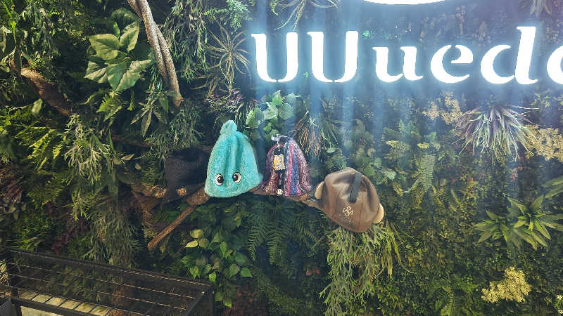 とっしーさんのUU ueda ユーユーウエダのサ活写真