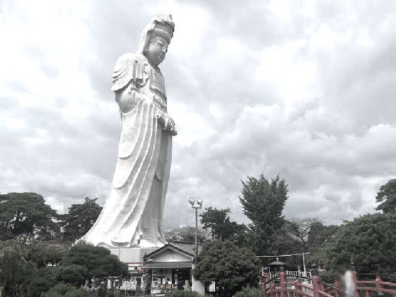 風さんの観音山サウナ蒸寺のサ活写真