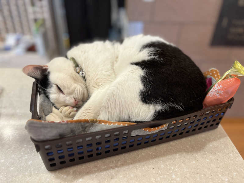 なちゃさんの行田・湯本天然温泉 茂美の湯のサ活写真
