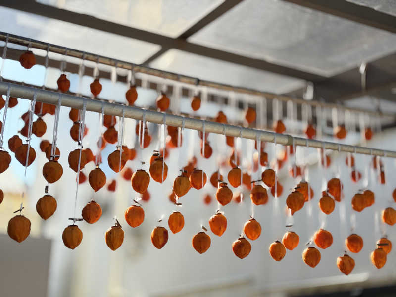 タッキャムさんの沼津・湯河原温泉 万葉の湯のサ活写真