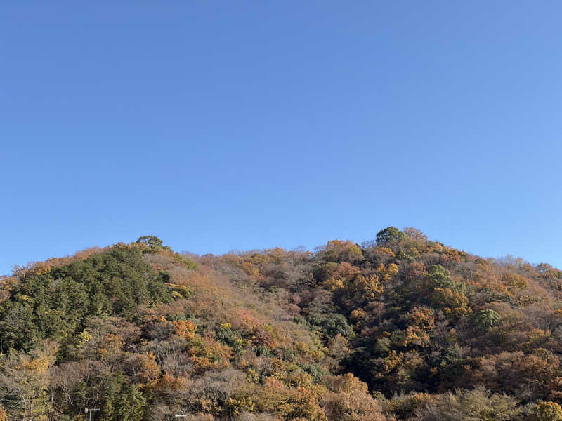 タッキャムさんのはだの・湯河原温泉 万葉の湯のサ活写真