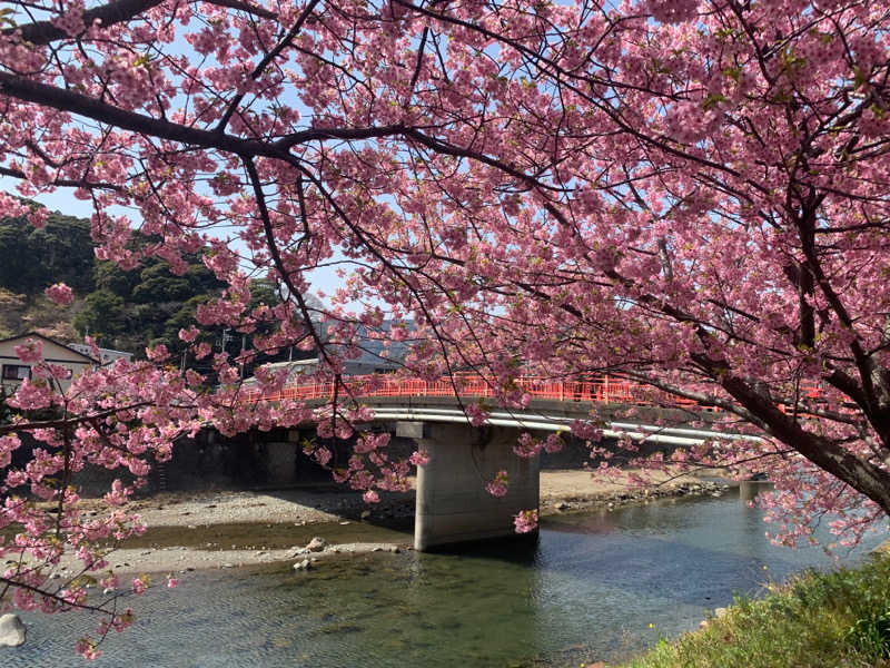 もふねこさんの蓮台寺温泉 清流荘のサ活写真