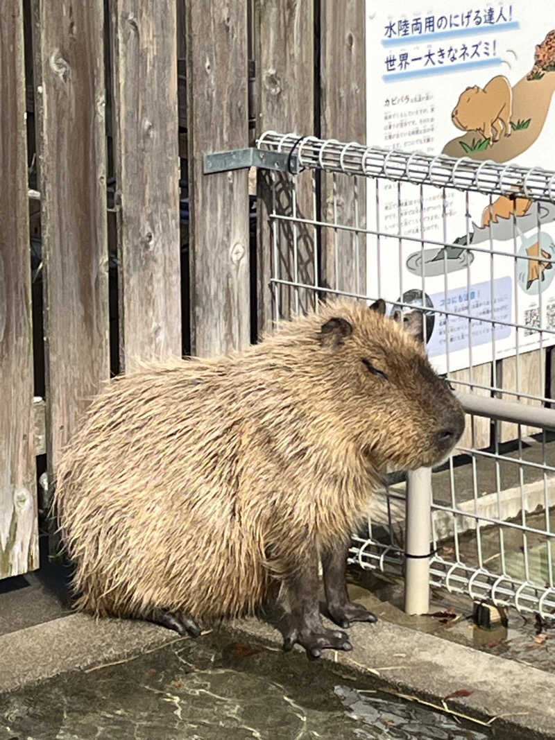 サ活の旅々さんの極楽湯 豊橋店のサ活写真