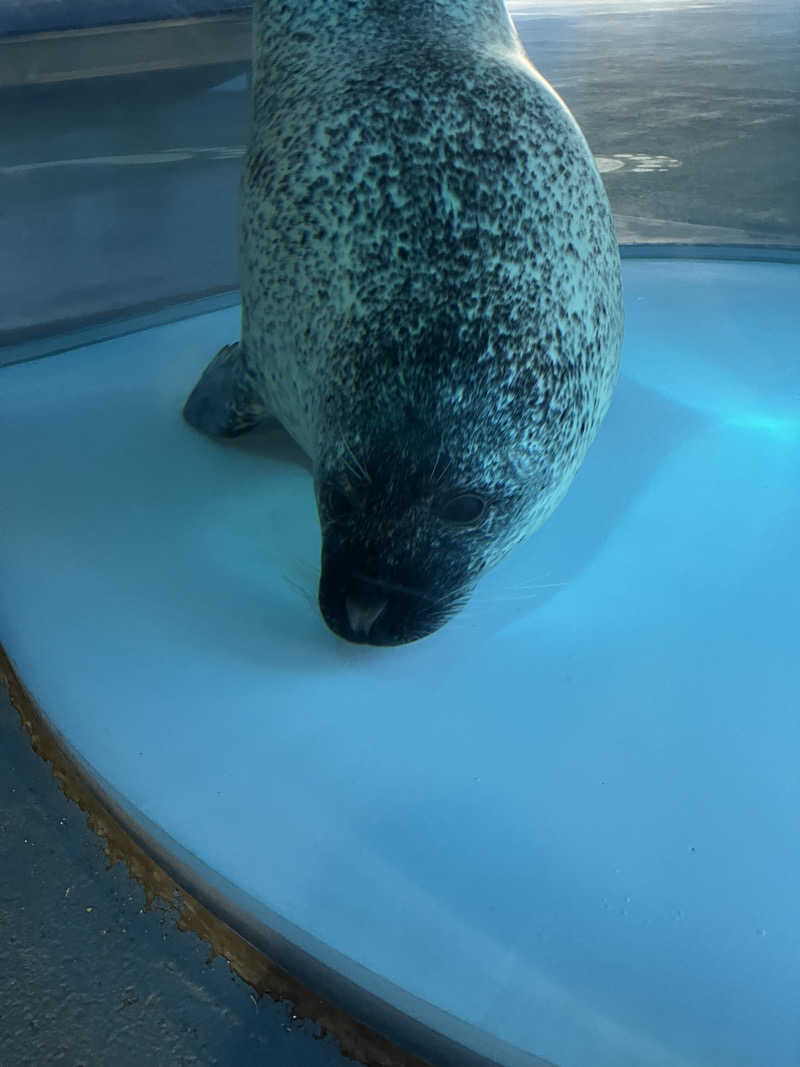 サ活の旅々さんの極楽湯 豊橋店のサ活写真