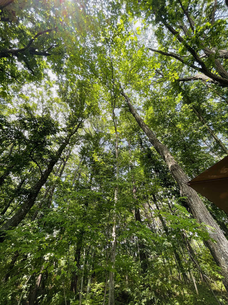 翔太郎さんの軽井沢プライベートアウトドアサウナkaveriのサ活写真