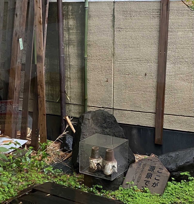 りえさんの深大寺天然温泉 湯守の里のサ活写真