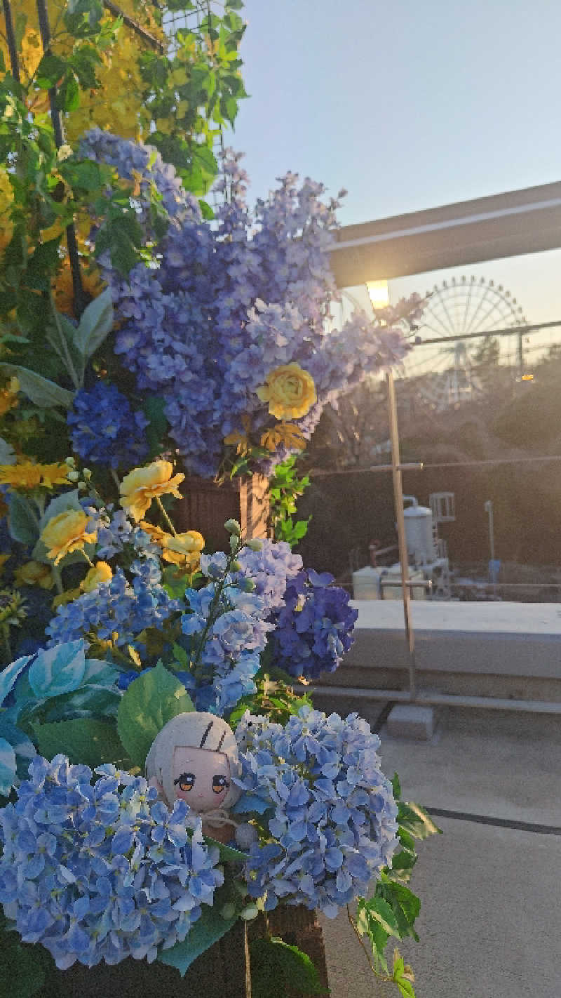 梵さんのよみうりランド眺望温泉 花景の湯のサ活写真