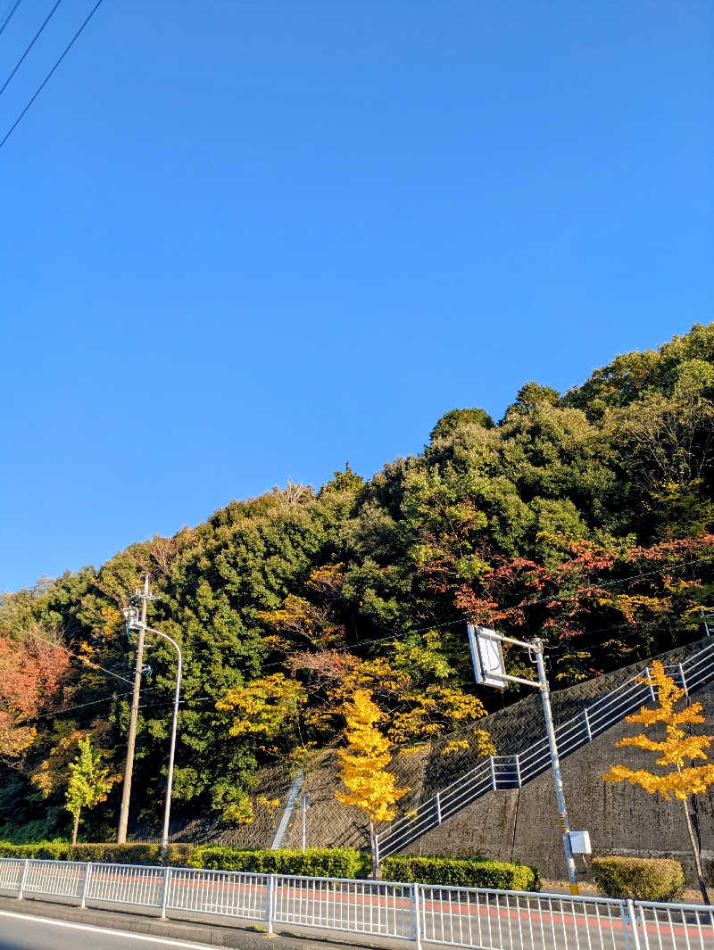 イイひさんの天空SPA HILLS 竜泉寺の湯 名古屋守山本店のサ活写真
