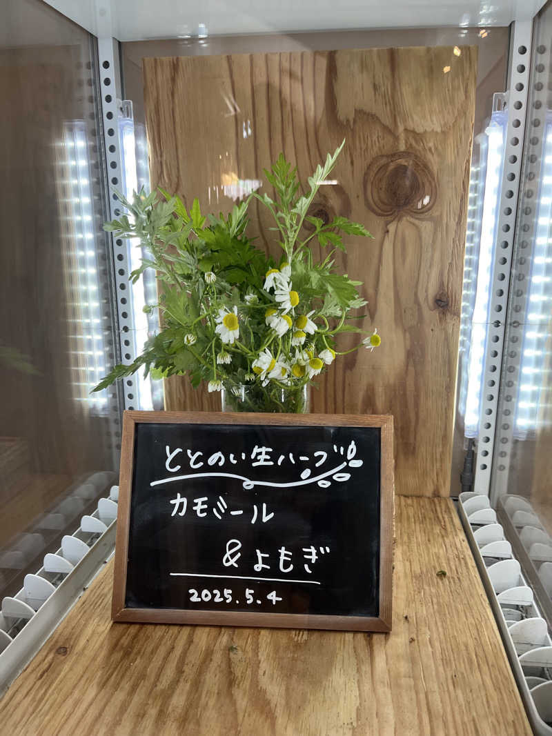 まみりんさんの岐阜各務原 恵みの湯のサ活写真