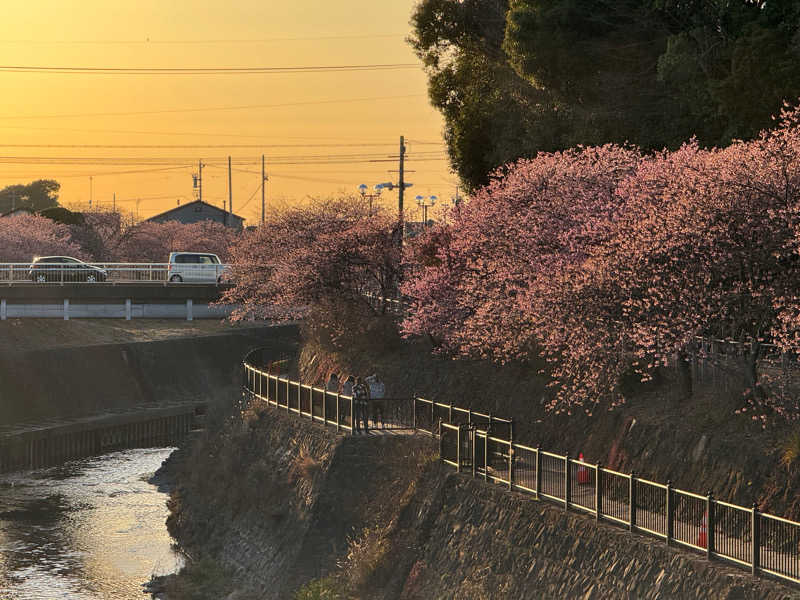 Hitachiさんの茶月の湯 ドーミーインEXPRESS掛川のサ活写真