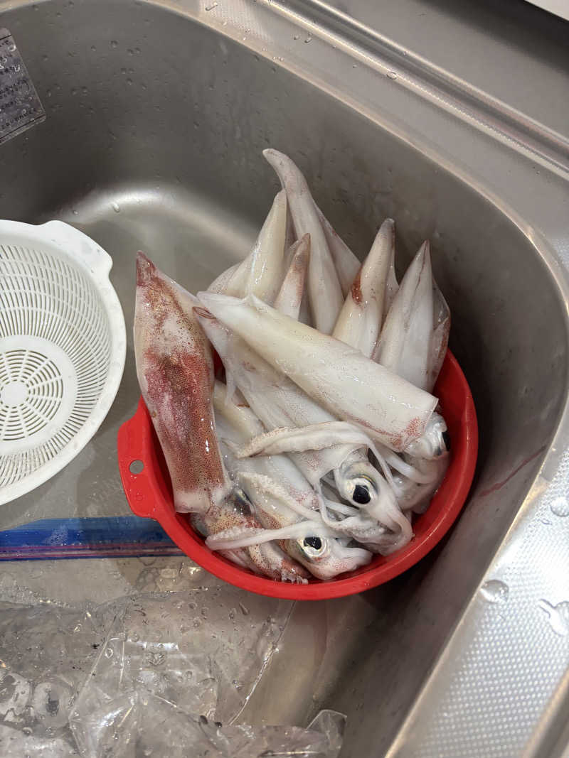 青レンシャイさんのこばやし温泉 美人の湯のサ活写真
