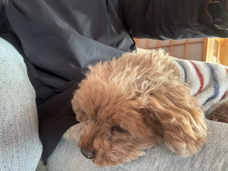 青レンシャイさんのひまわり温泉ゆ・ら・らのサ活写真