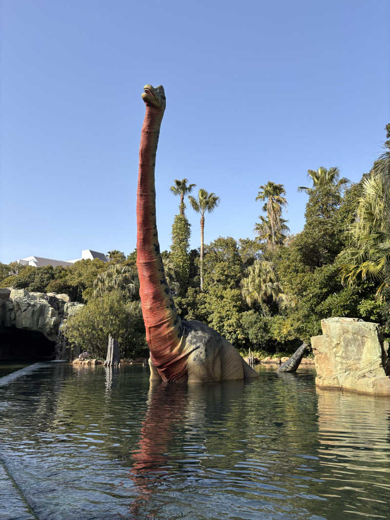青レンシャイさんのこばやし温泉 美人の湯のサ活写真