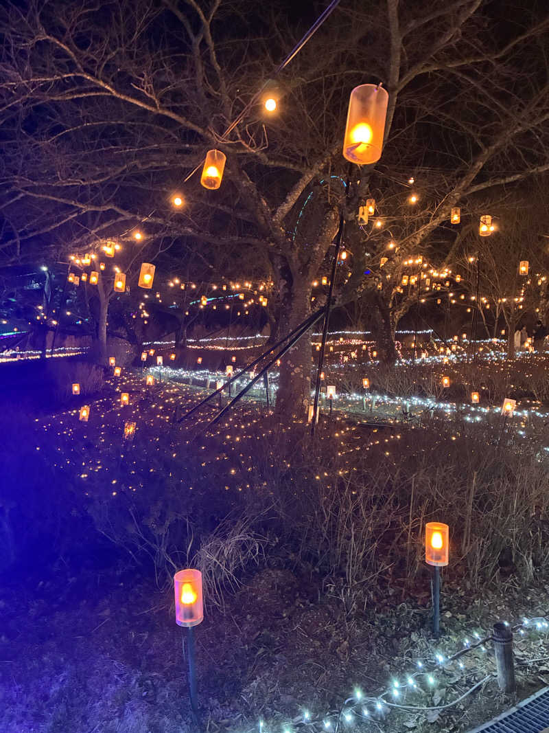 indigoblueさんのさがみ湖温泉 うるりのサ活写真