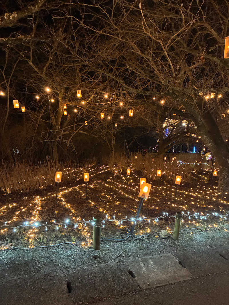 indigoblueさんのさがみ湖温泉 うるりのサ活写真