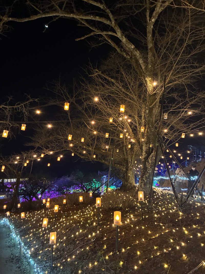 indigoblueさんのさがみ湖温泉 うるりのサ活写真