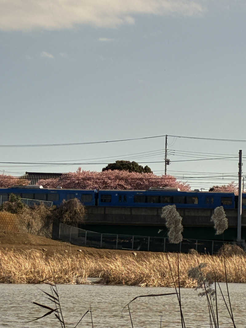 indigoblueさんの亀遊舘のサ活写真