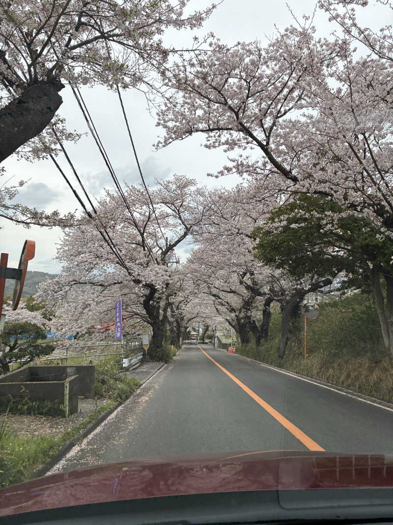 indigoblueさんの亀遊舘のサ活写真