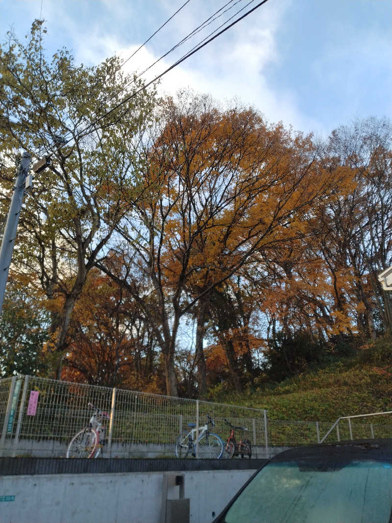 乱丸さんの極楽湯古川店のサ活写真