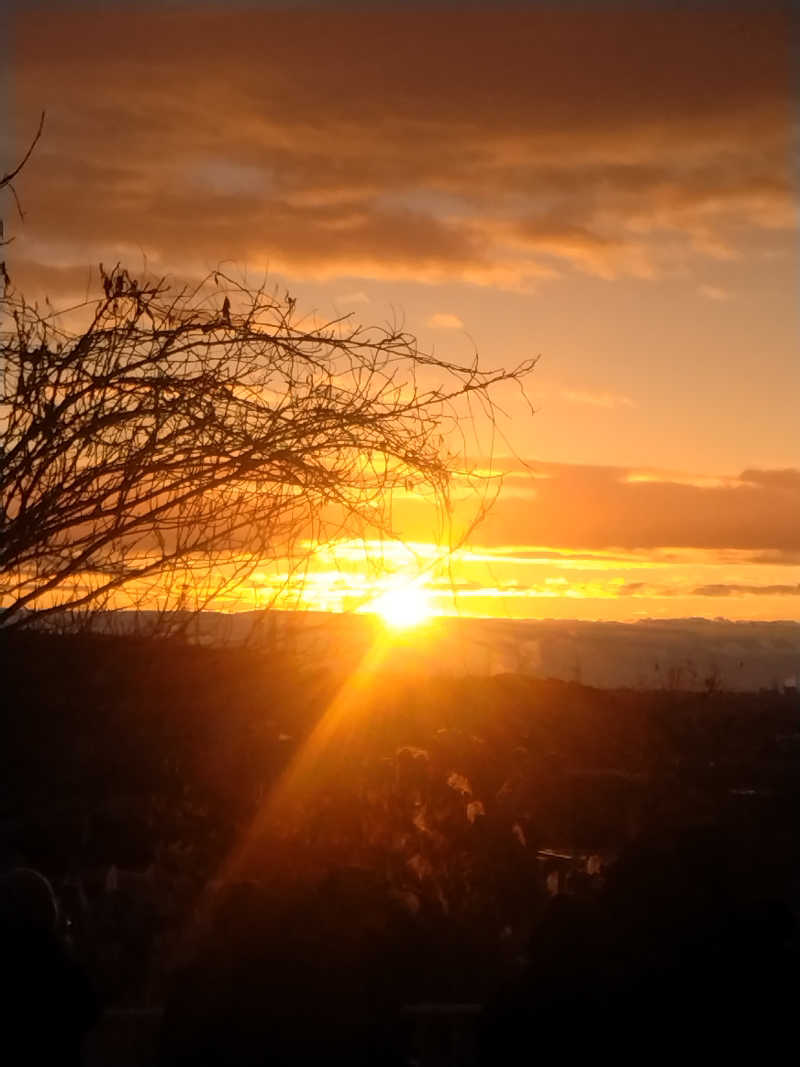 乱丸さんのゆ〜とぴあ仙台南のサ活写真