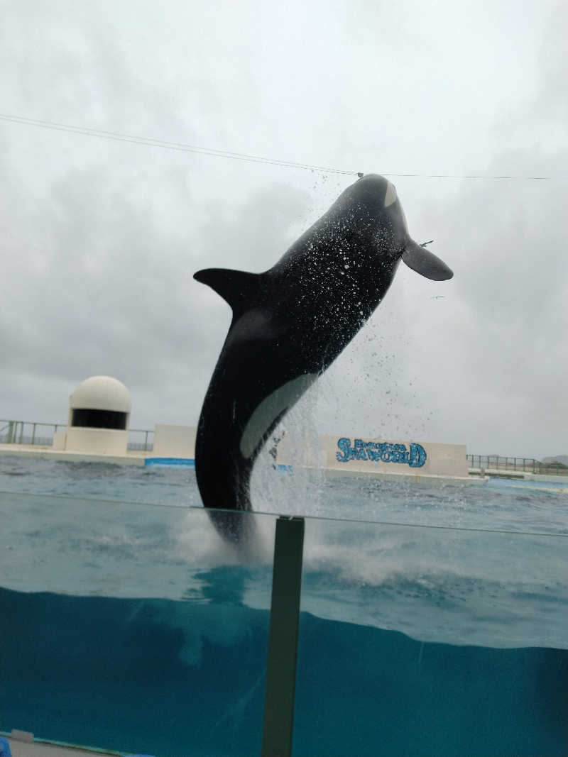 乱丸さんのsaunahouseのサ活写真