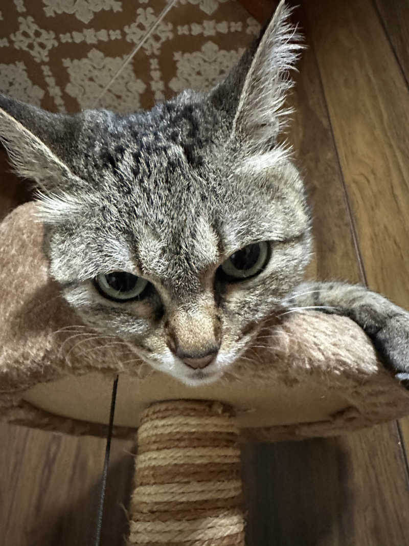teraoさんの大宇陀温泉あきののゆのサ活写真