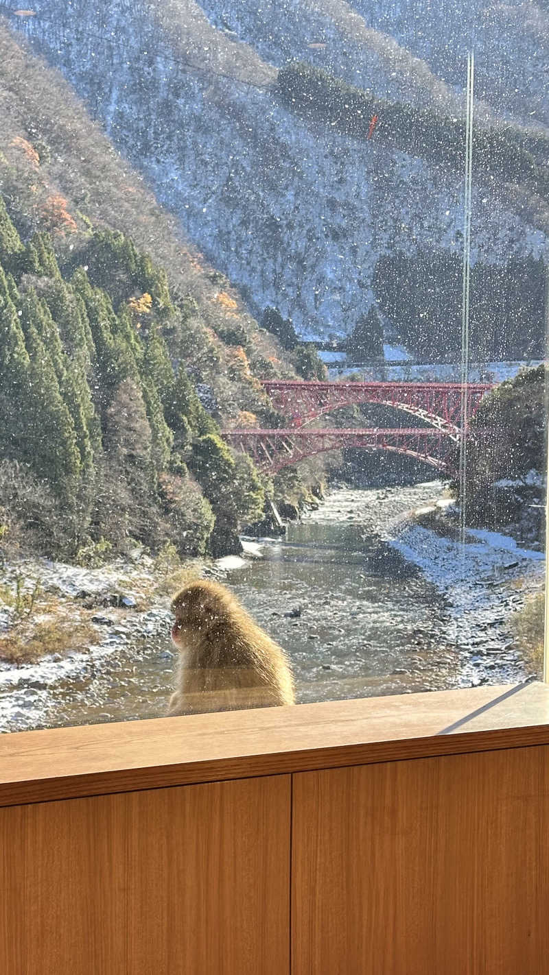 kogamizyさんの黒部・宇奈月温泉 やまのはのサ活写真