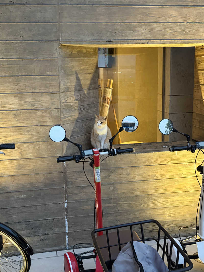 AKIBAさんの琉球温泉 龍神の湯のサ活写真