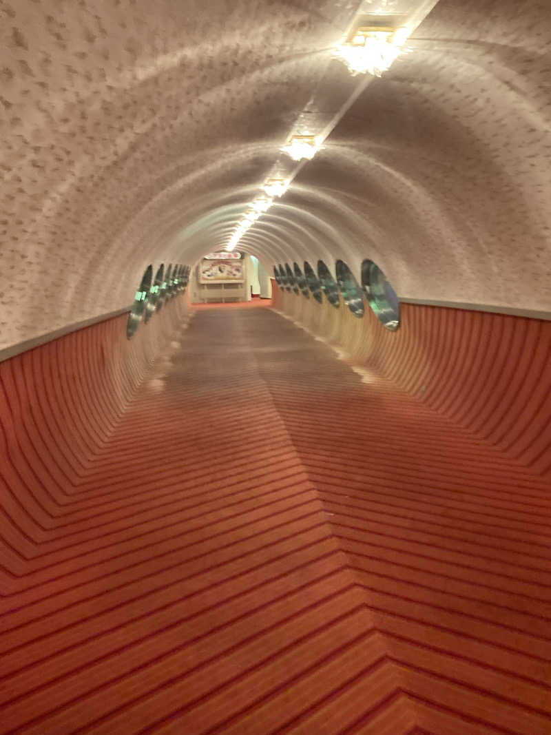 タナゴロンピンポンパンさんのハトヤホテルのサ活写真