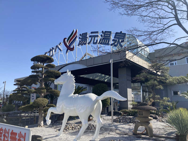 タナゴロンピンポンパンさんのかすかべ湯元温泉のサ活写真