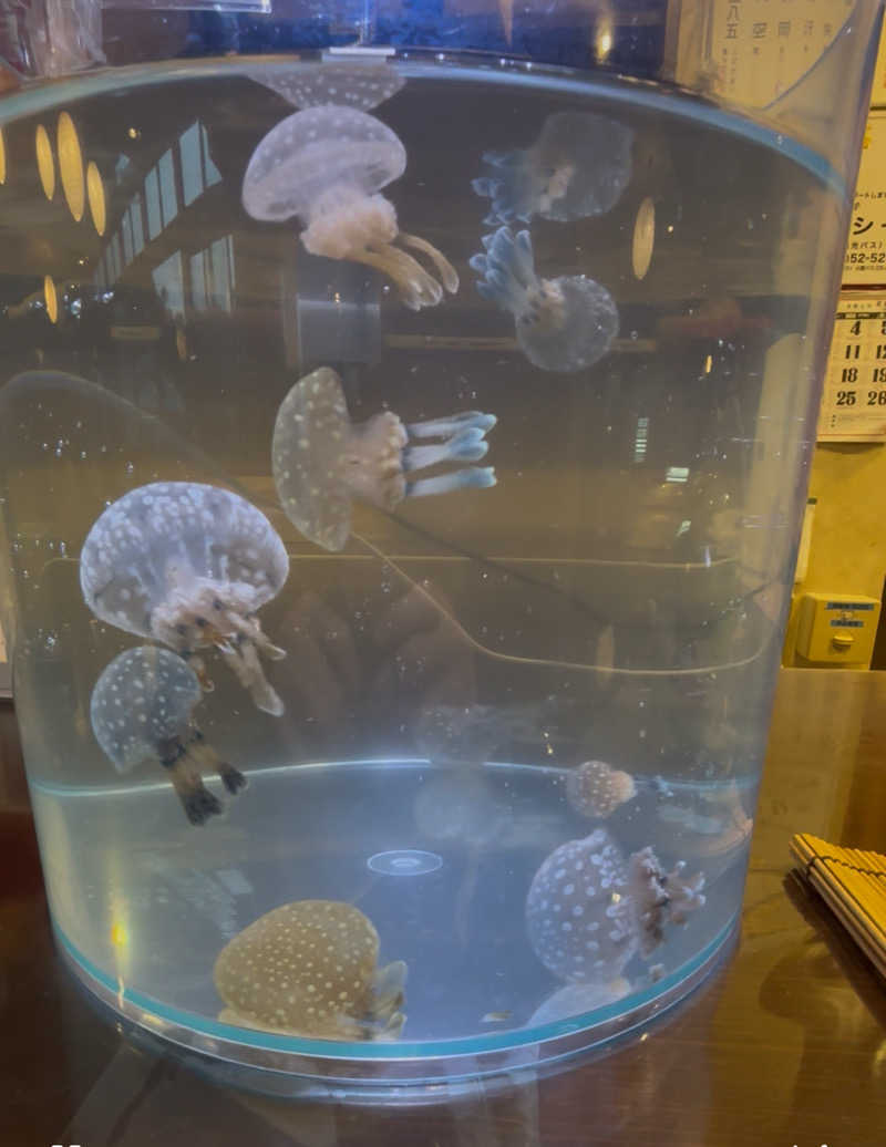 mayukoさんの桂温泉のサ活写真