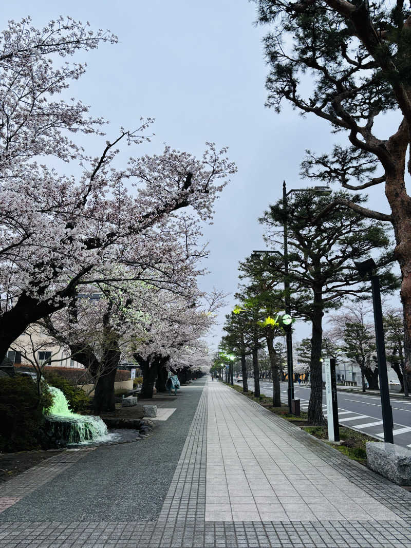 mayukoさんのせせらぎ温泉のサ活写真