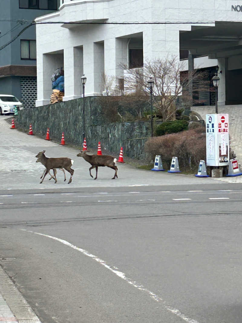 中さんの登別温泉 登別グランドホテルのサ活写真