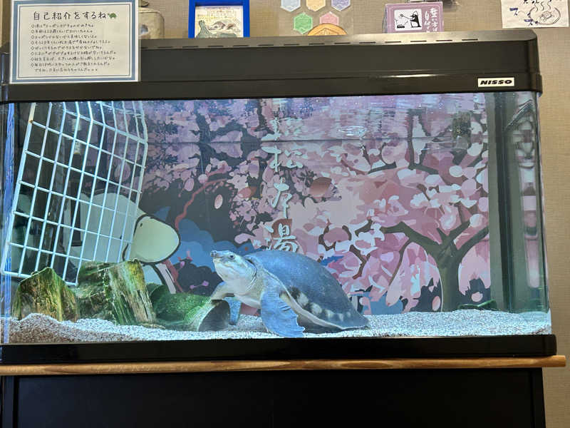 中さんの松本湯のサ活写真