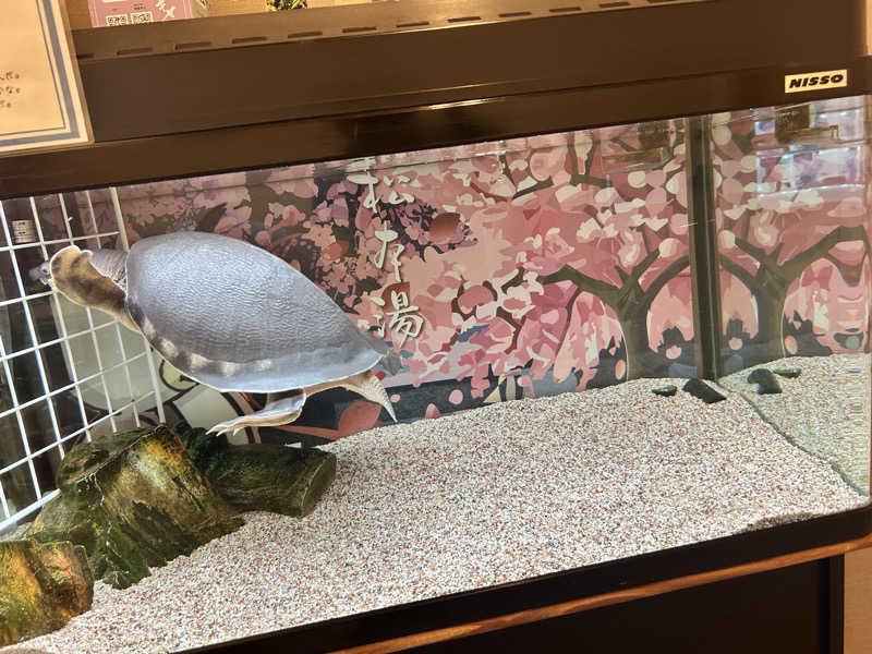 中さんの松本湯のサ活写真