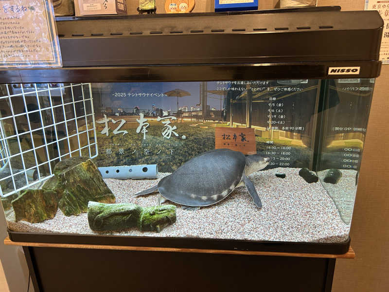 中さんの松本湯のサ活写真