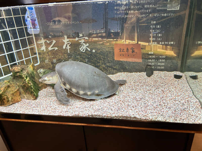 中さんの松本湯のサ活写真