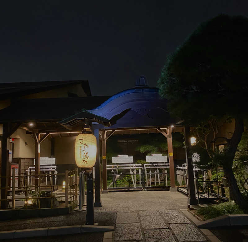 airiさんの前野原温泉 さやの湯処のサ活写真