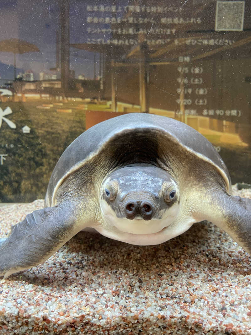 airiさんの松本湯のサ活写真