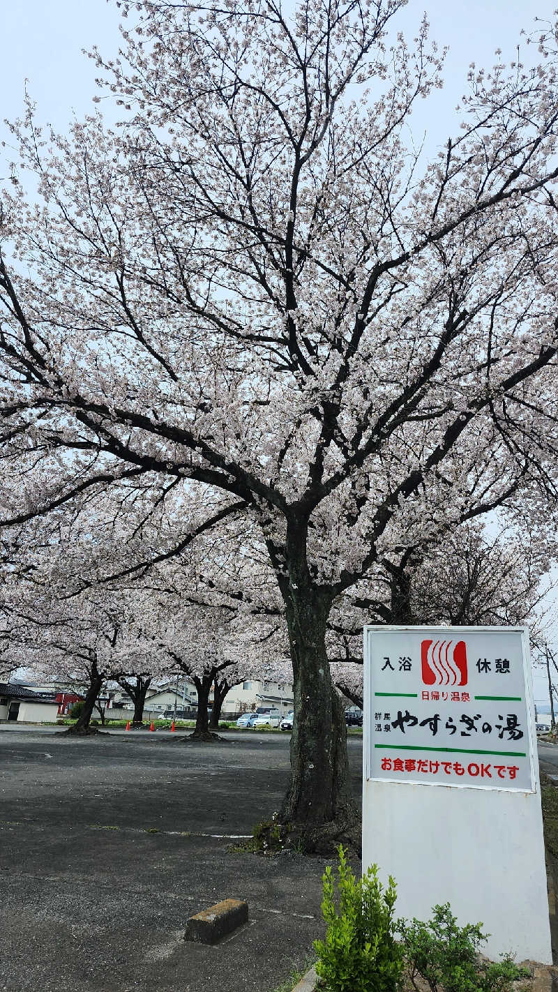 あいさんの群馬温泉 やすらぎの湯のサ活写真