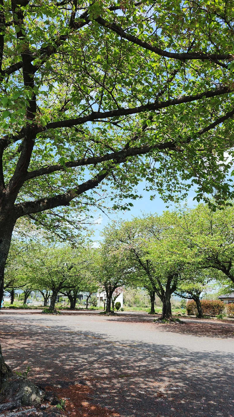 あいさんの群馬温泉 やすらぎの湯のサ活写真