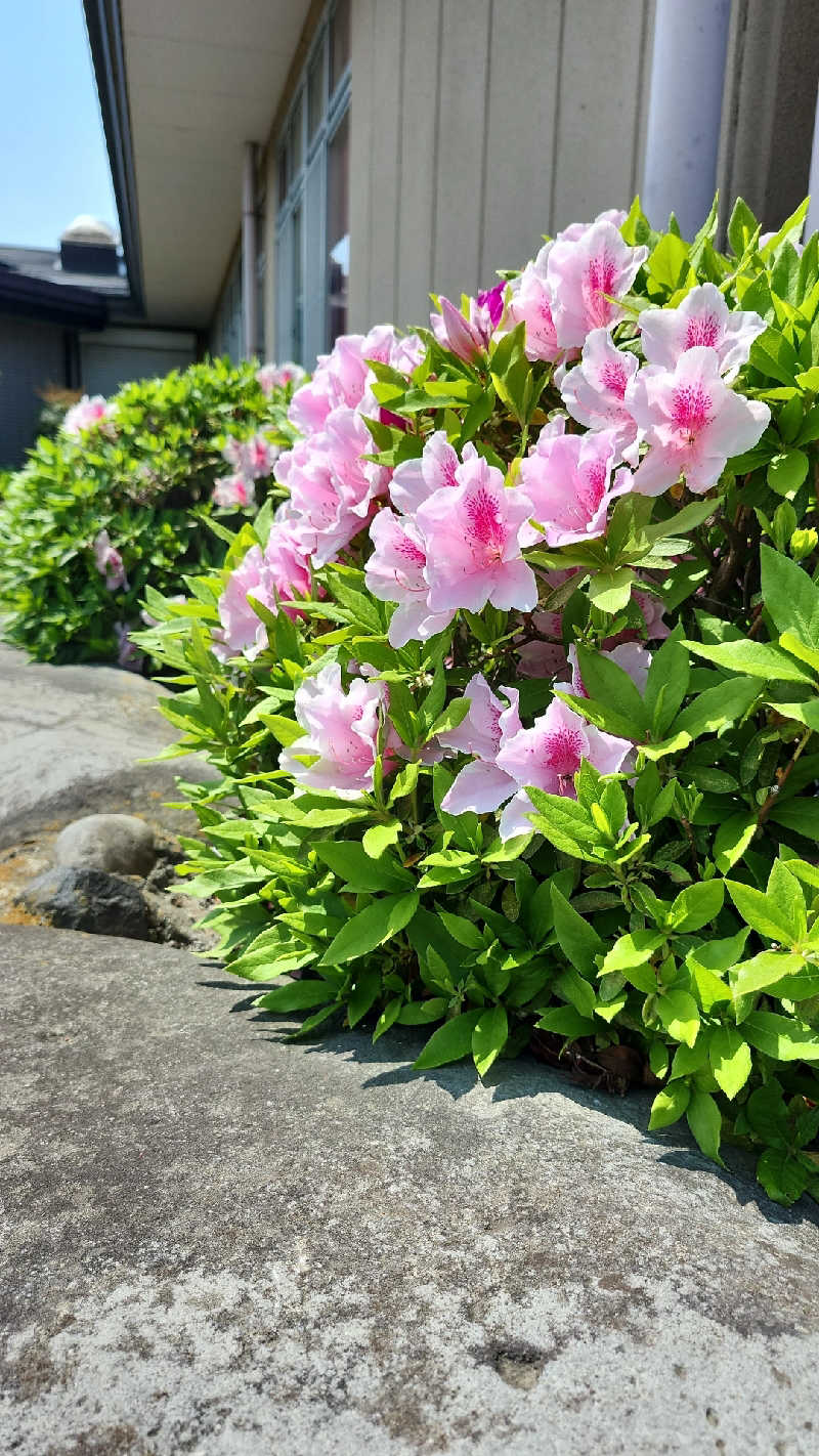あいさんの群馬温泉 やすらぎの湯のサ活写真