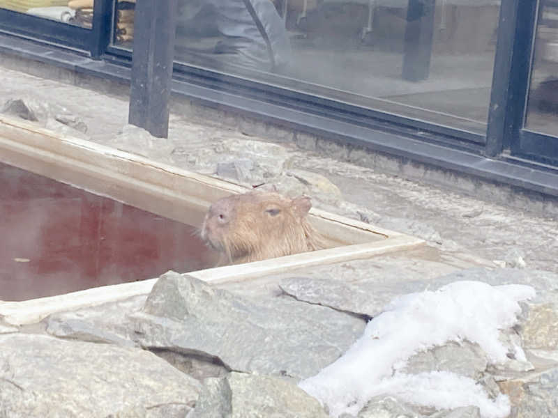 SAUNAxxxHOLiCさんの石狩天然温泉 番屋の湯のサ活写真