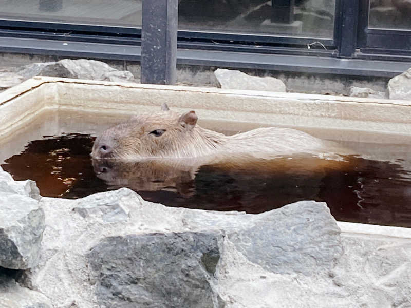SAUNAxxxHOLiCさんの石狩天然温泉 番屋の湯のサ活写真