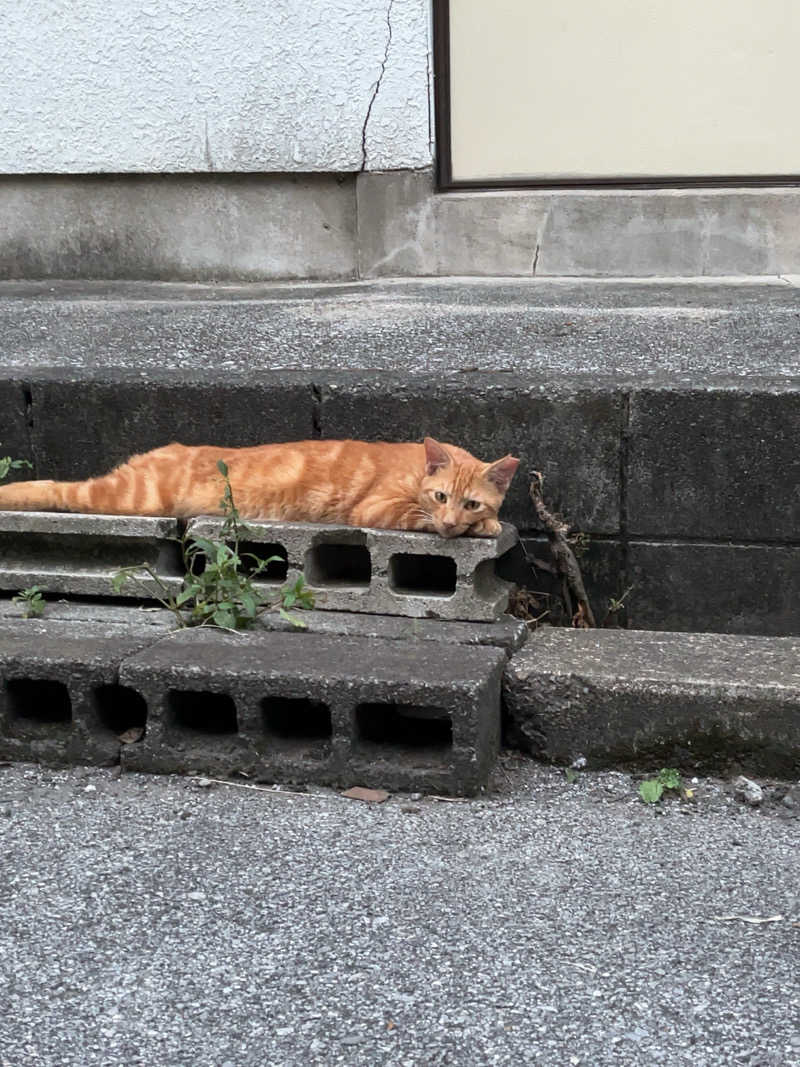 ズーシーさんの堀田湯のサ活写真